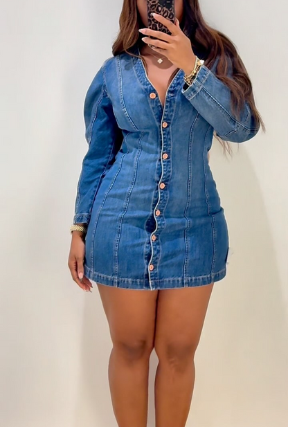 Long sleeve denim bodycon dress