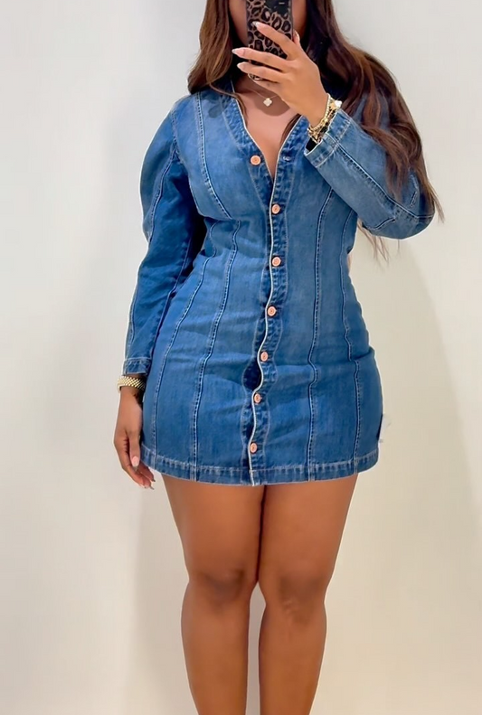 Long sleeve denim bodycon dress